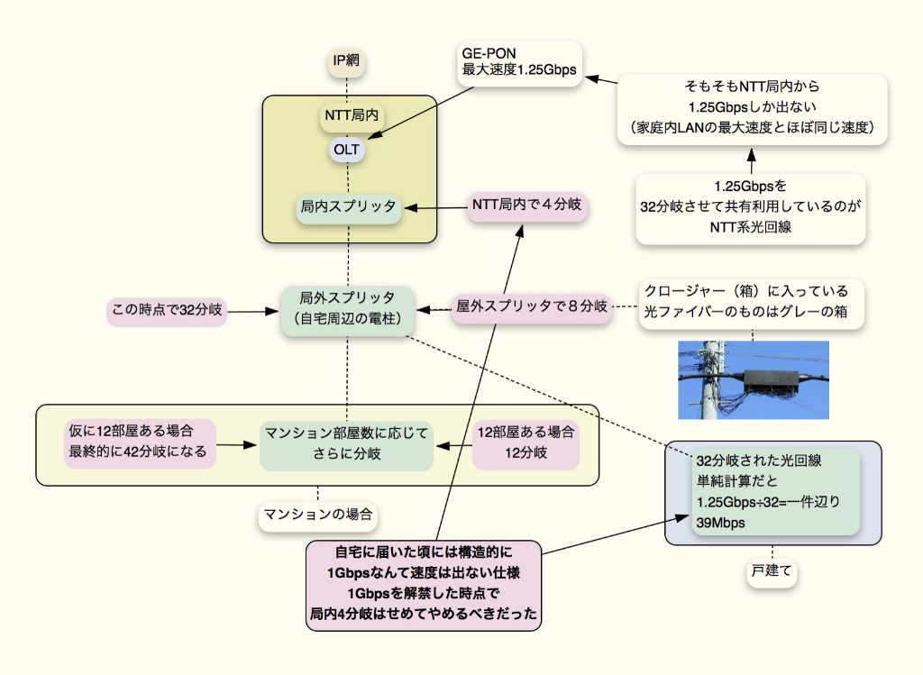 NTT系光回線 分岐数図解